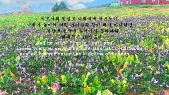 마태복음 18장 : 천국에서 큰 사람_10