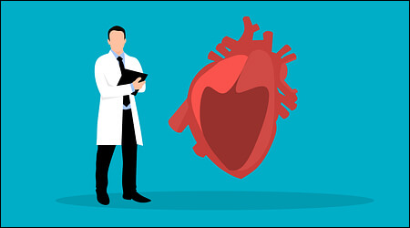 심장 모형과 차트를 든 의사
