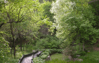 평창 가볼만한곳