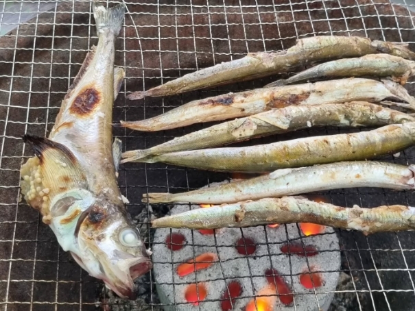 숯불 위에서 익어가는 도루묵·양미리·도치 모둠구이(이미지 교체 예정)