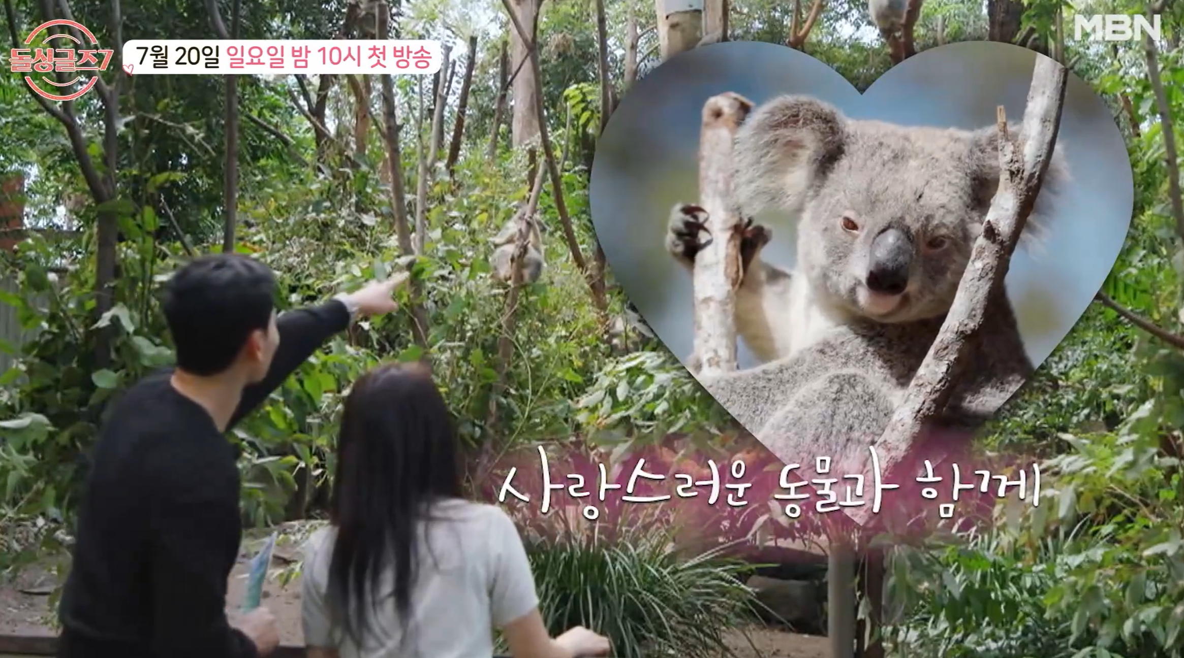 돌싱글즈7 출연진