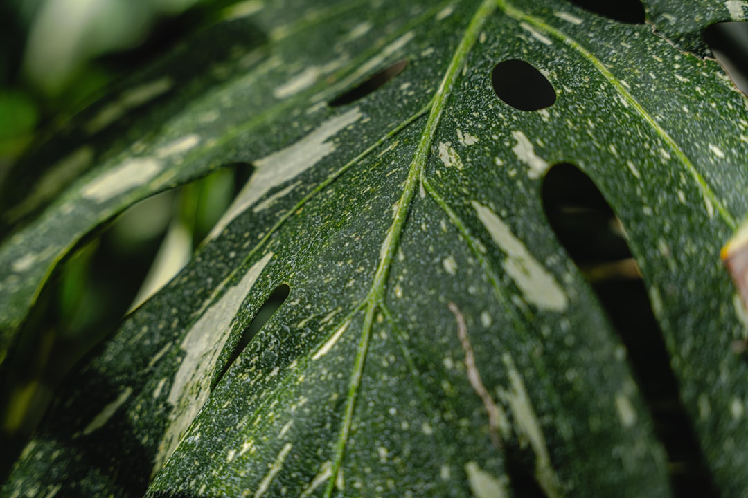 Humidity