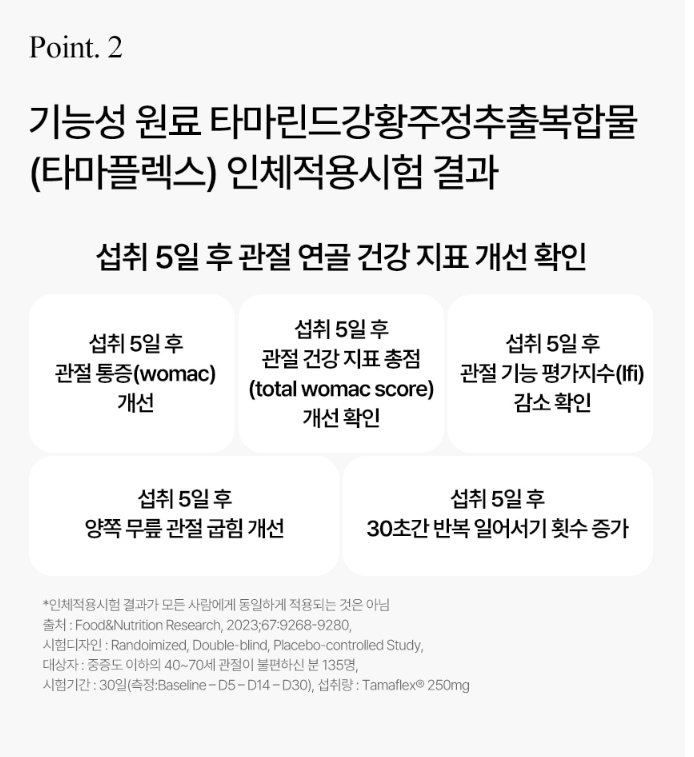 솔티스 타마플렉스