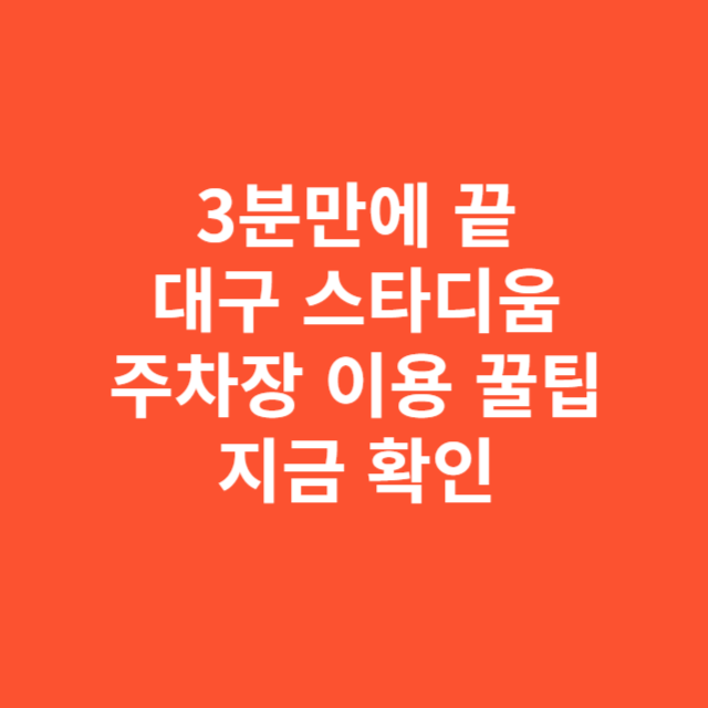 3분만에 끝 대구 스타디움 주경기장 이용 꿀팁 지금 확인 안 하면 손해