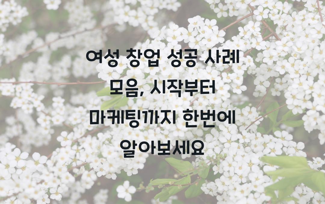 여성 창업 성공 사례 모음, 시작부터 마케팅까지