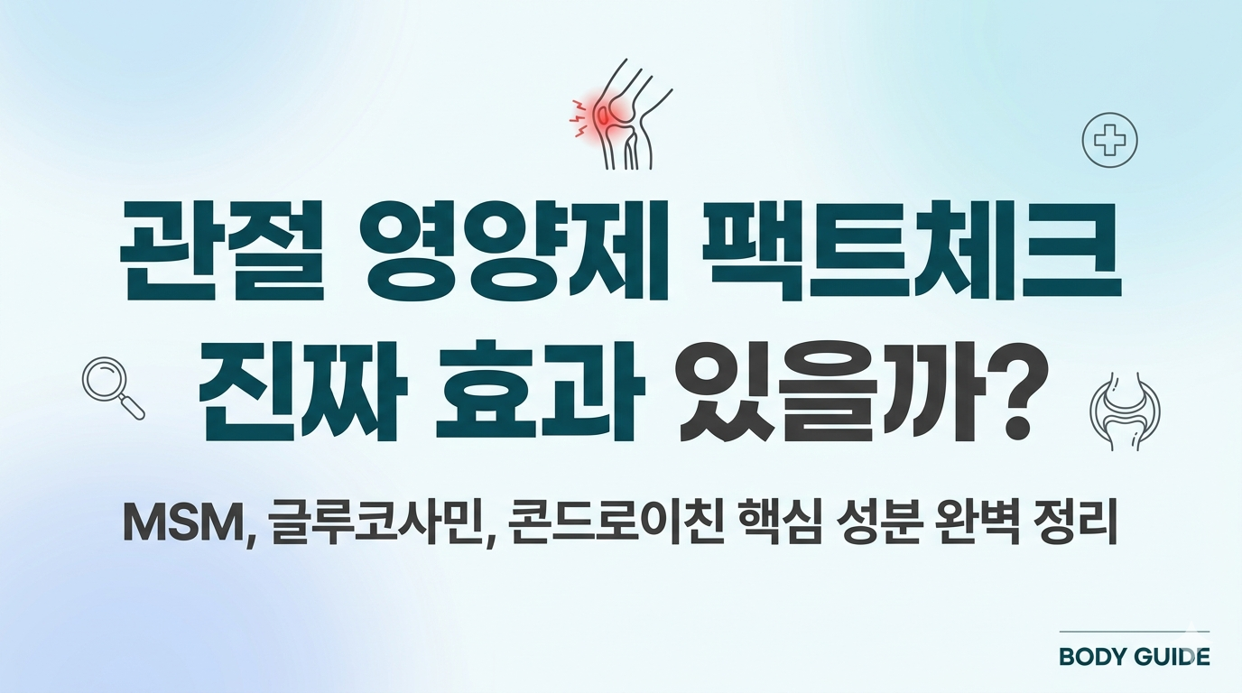 관절 영양제