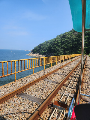 여수 가볼만한 곳 추천 관광지 여수 해양레일바이크