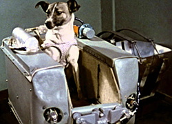 가디언즈 오브 갤럭시 3