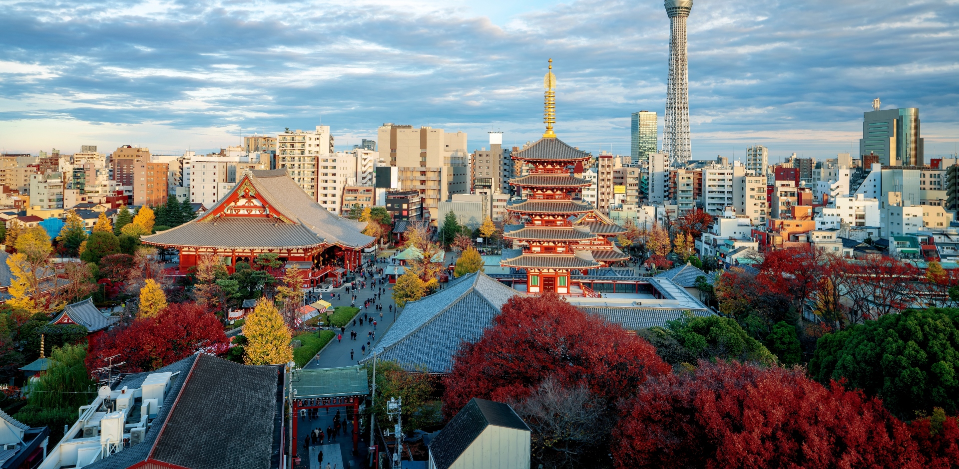 갤러리 이미지 2