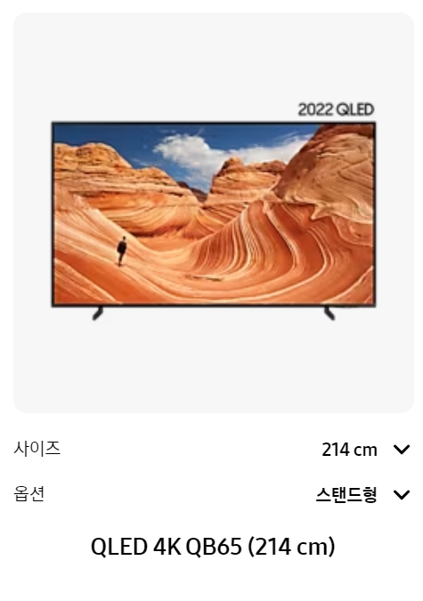 삼성TV 슈퍼빅 페스타