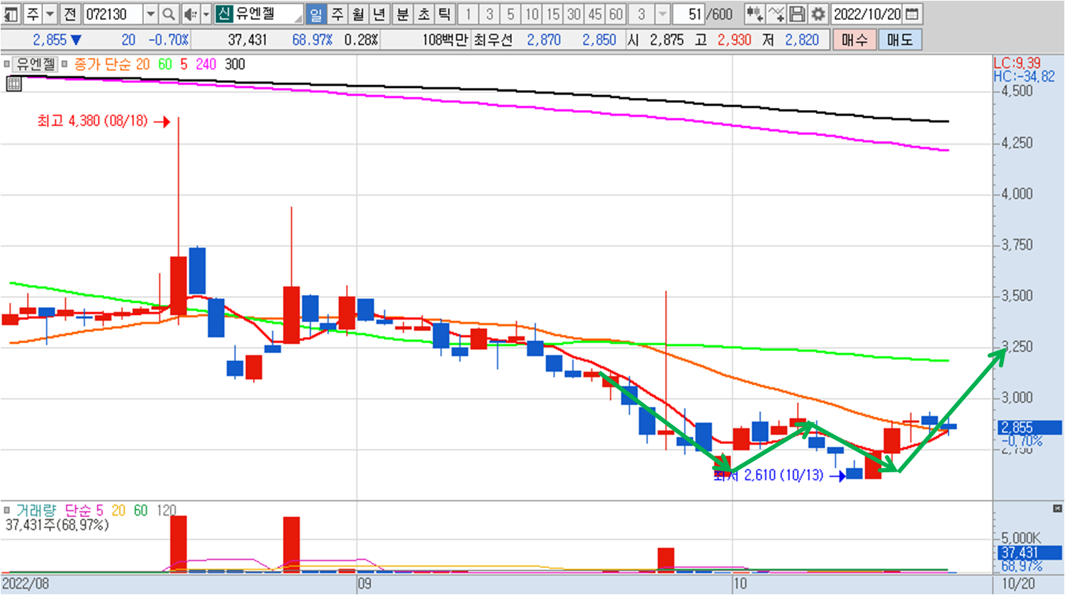 유엔젤 일 차트