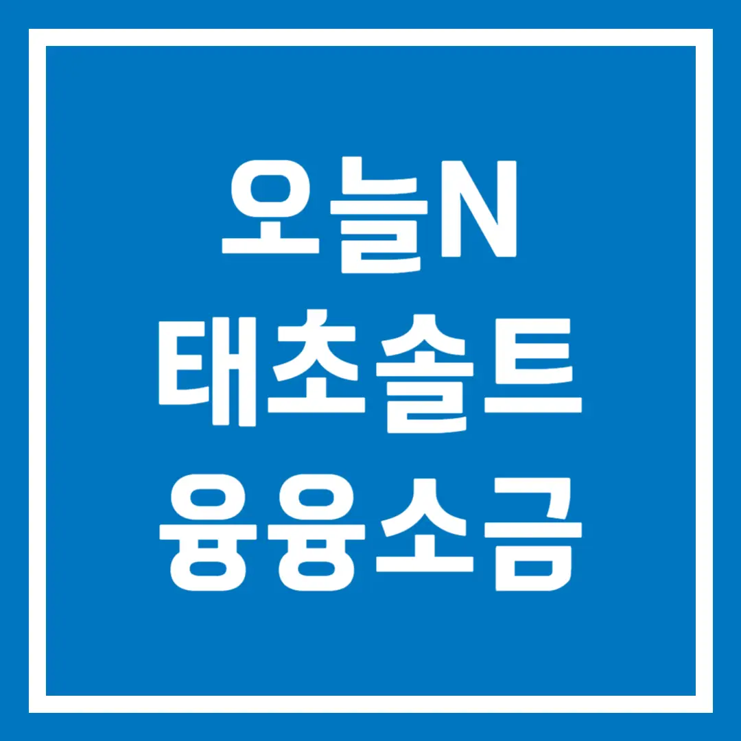 오늘N 태초솔트 융융소금 한상 홍천