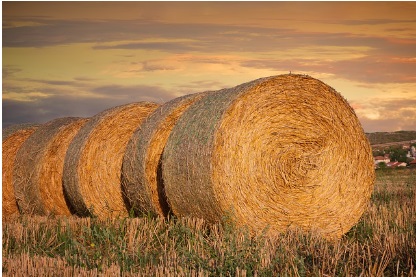 농지연금 지급방식 적용금리 및 지급정지사유
