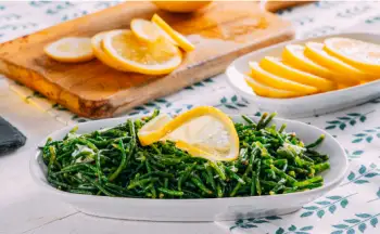 함초 효능 및 영양성분&amp;#44; 가격