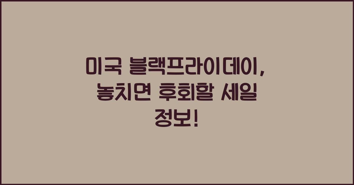 미국 블랙프라이데이