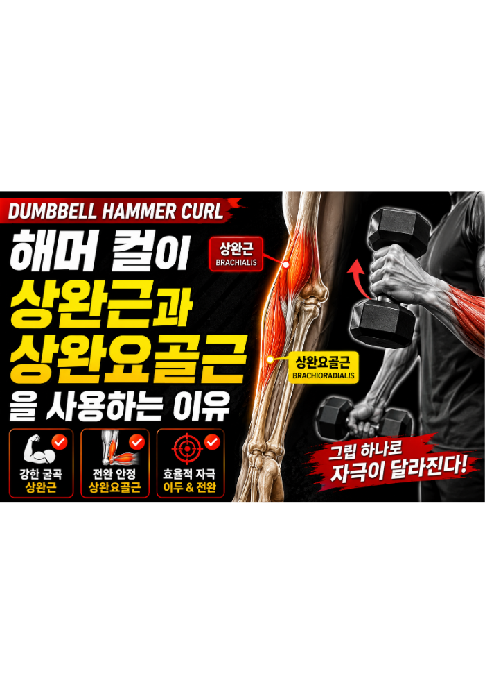 Dumbbell Hammer Curl이 상완근과 상완요골근을 사용하는 이유