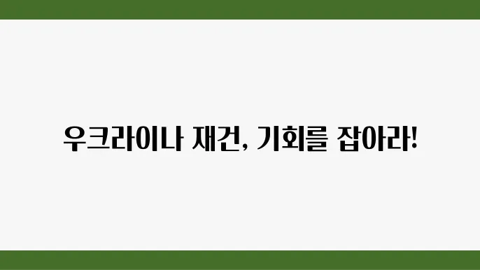 우크라이나 재음 관련주 - 우크라이나 재음 관련주 전망, 주요 기업 분석, 투자 리스크 평가