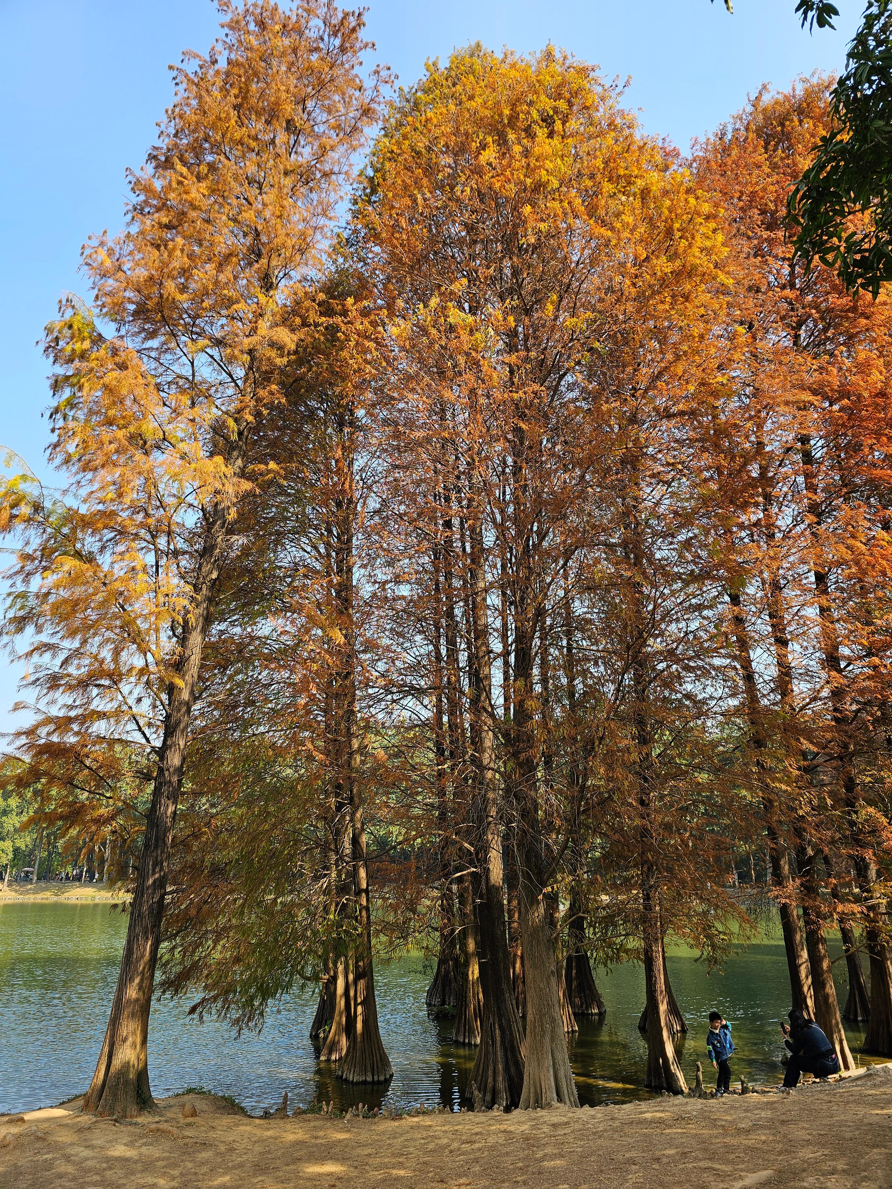 광저우 화남식물원