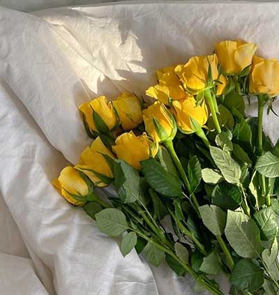 노란장미 여러 송이