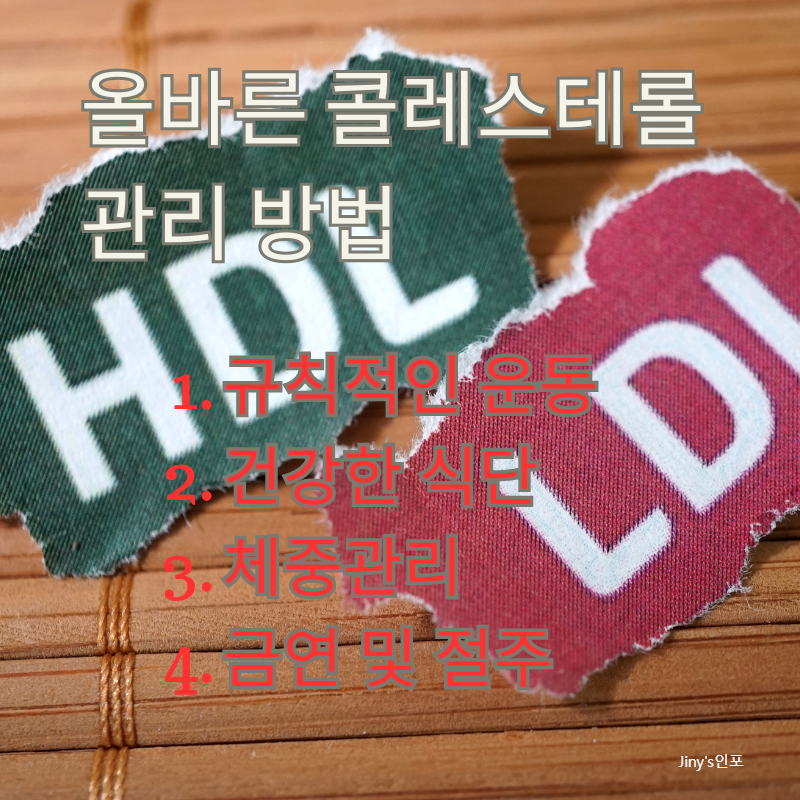 콜레스테롤 관리 방법