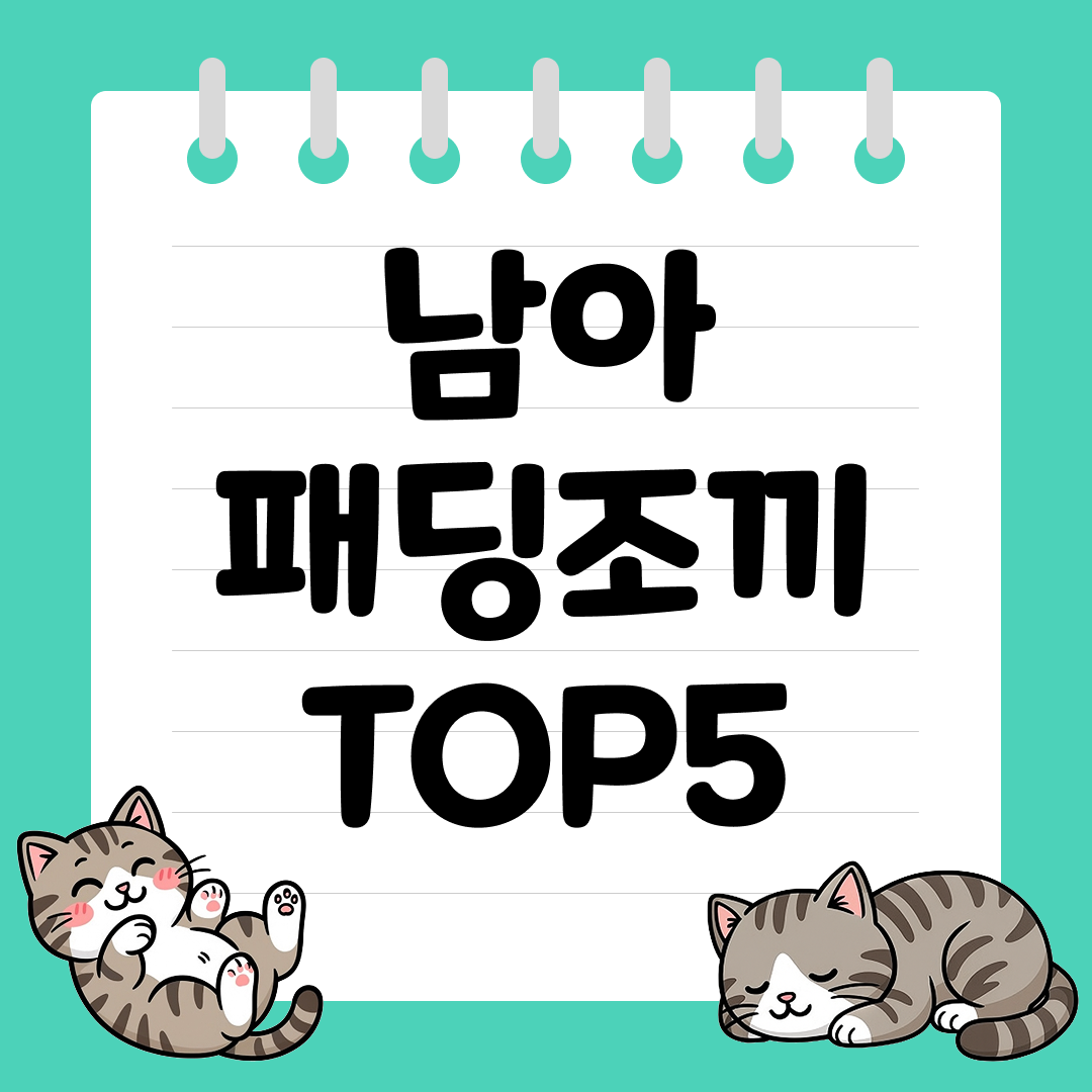 가볍고 따뜻한 남아 패딩조끼 추천 순위 TOP5