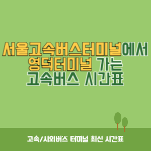 서울고속버스터미널에서 영덕터미널 가는 고속버스 시간표 최신정보