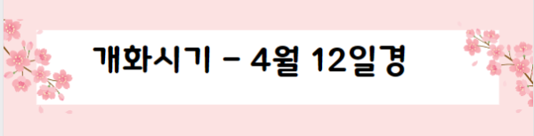봄꽃 여행지