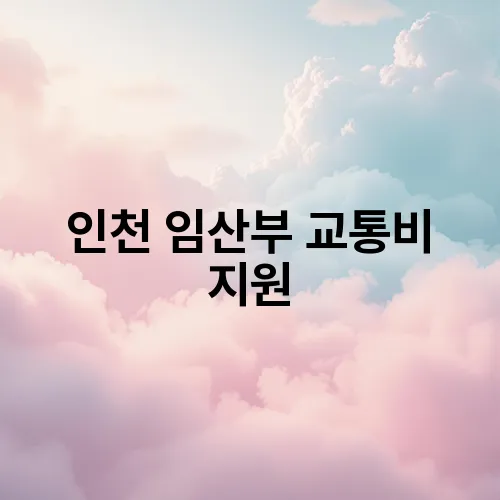 인천 임산부 교통비 지원