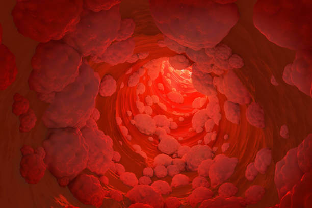 목에 가래낀 느낌 및 없애는 법&amp;#44; 가래감은 목구멍&amp;#44; 기관지 등 호흡기관에 분비물이나 염증이 쌓여 생기는 증상입니다. 이 증상은 다양한 원인에 의해 발생할 수 있으며 그에 따라 적절한 조치가 필요합니다. 가래의 주요 원인와 목에 가래낀 느낌 없애는 법을 참고하시기 바랍니다. 