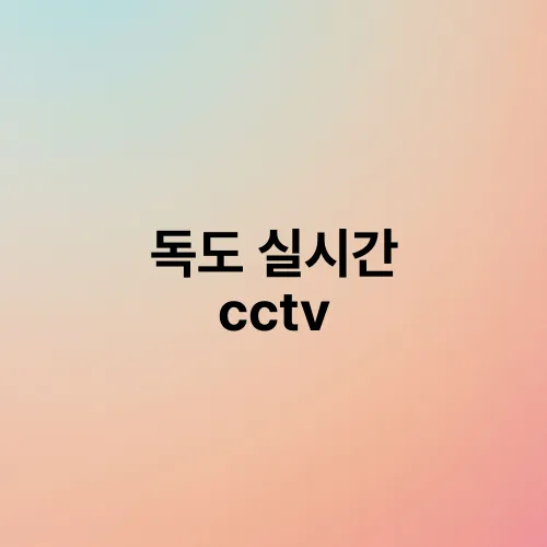 독도 실시간 cctv