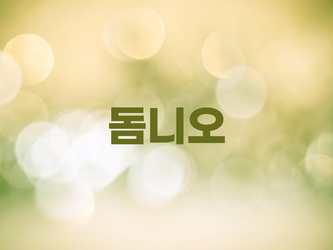 돔니오 천주교 남자세례명 3인 목록