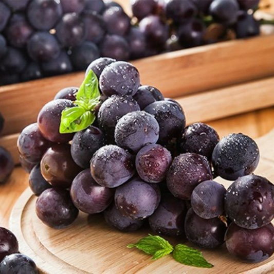 포도씨유발암물질