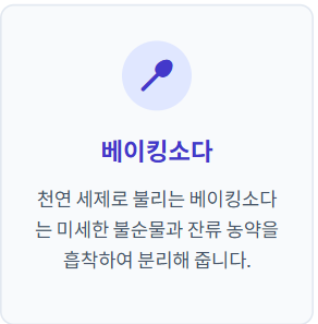블루베리 세척법