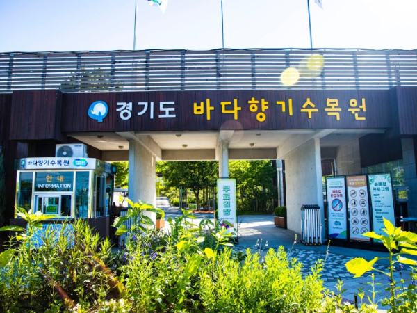 대부도 갈만한곳 바다향기수목원 추천