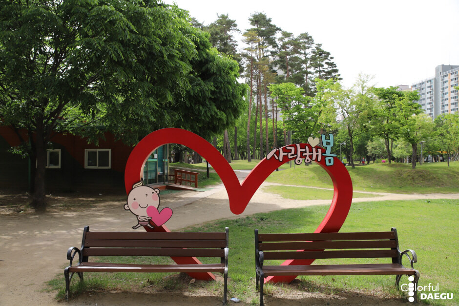 대구 가볼만한 단풍 여행은 어디일까? 대구 단풍 여행 총정리!