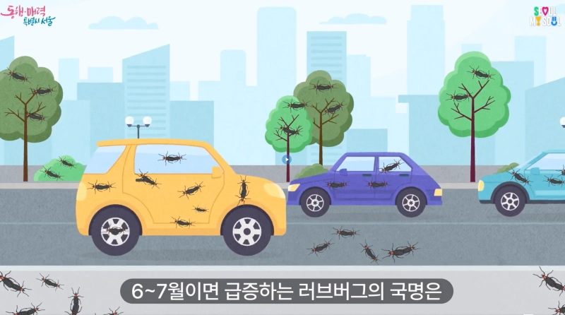 러브버그 익충 이유