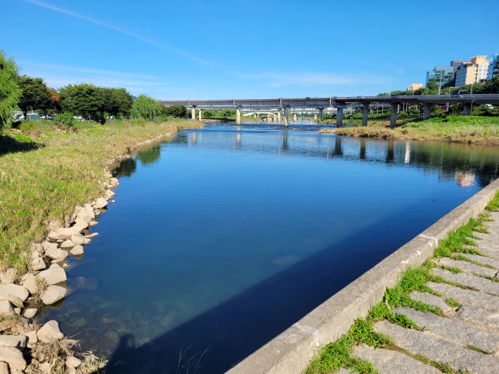 중랑천의 물이 휴양지 바닷물처럼 파랗습니다.