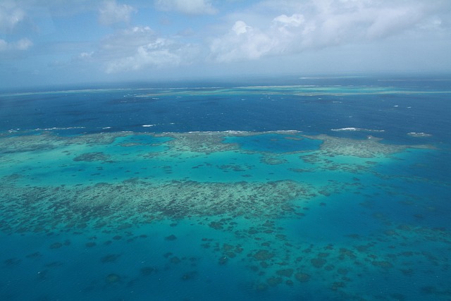 케언즈 여행 관련 사진
