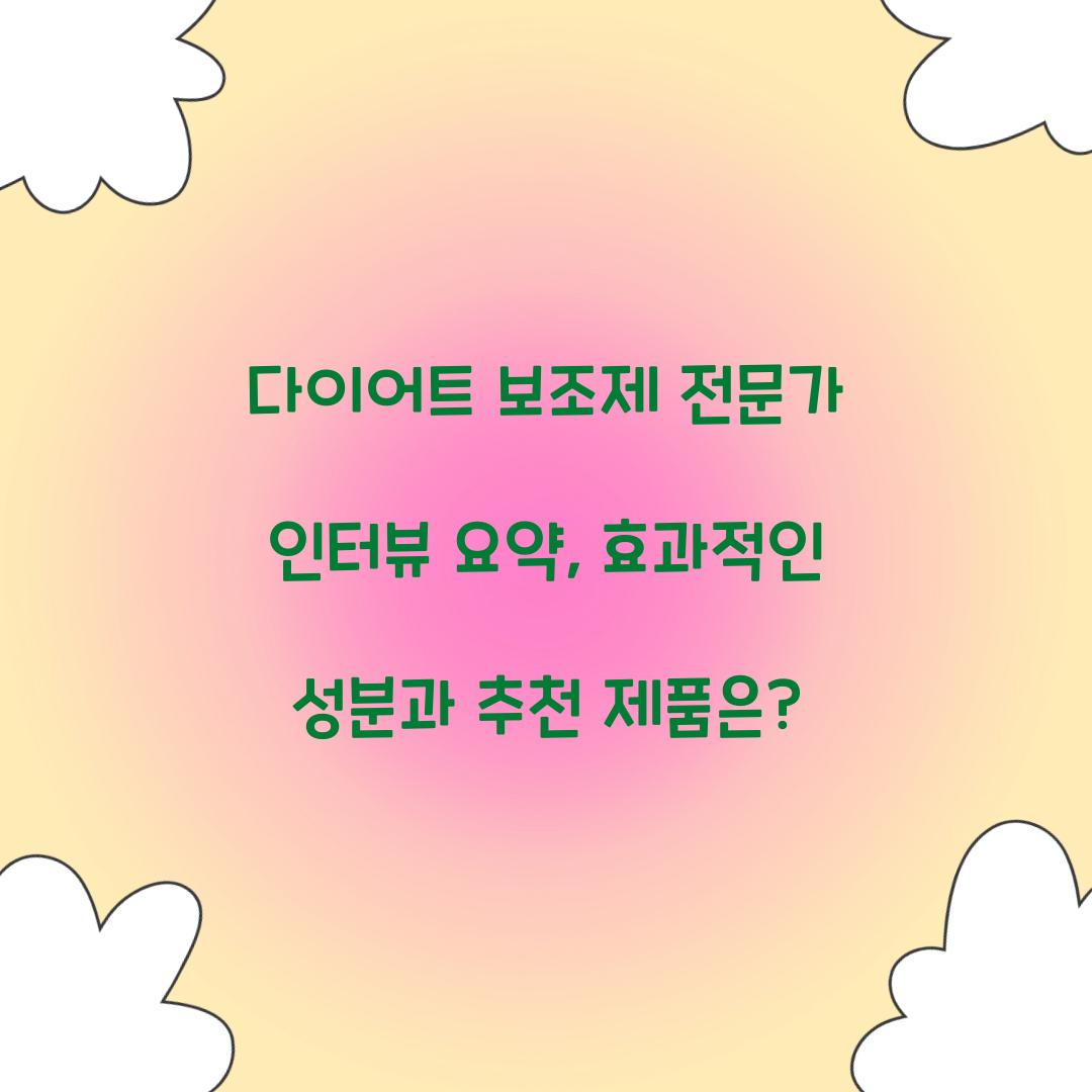 다이어트 보조제 전문가 인터뷰 요약