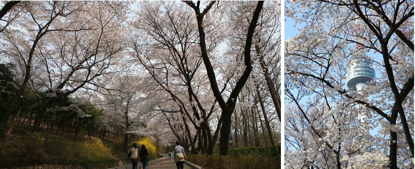 한국관광포토갤러리