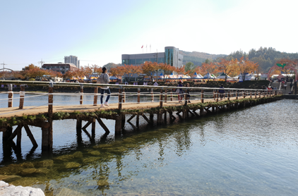 청송사과축제-가수라인업