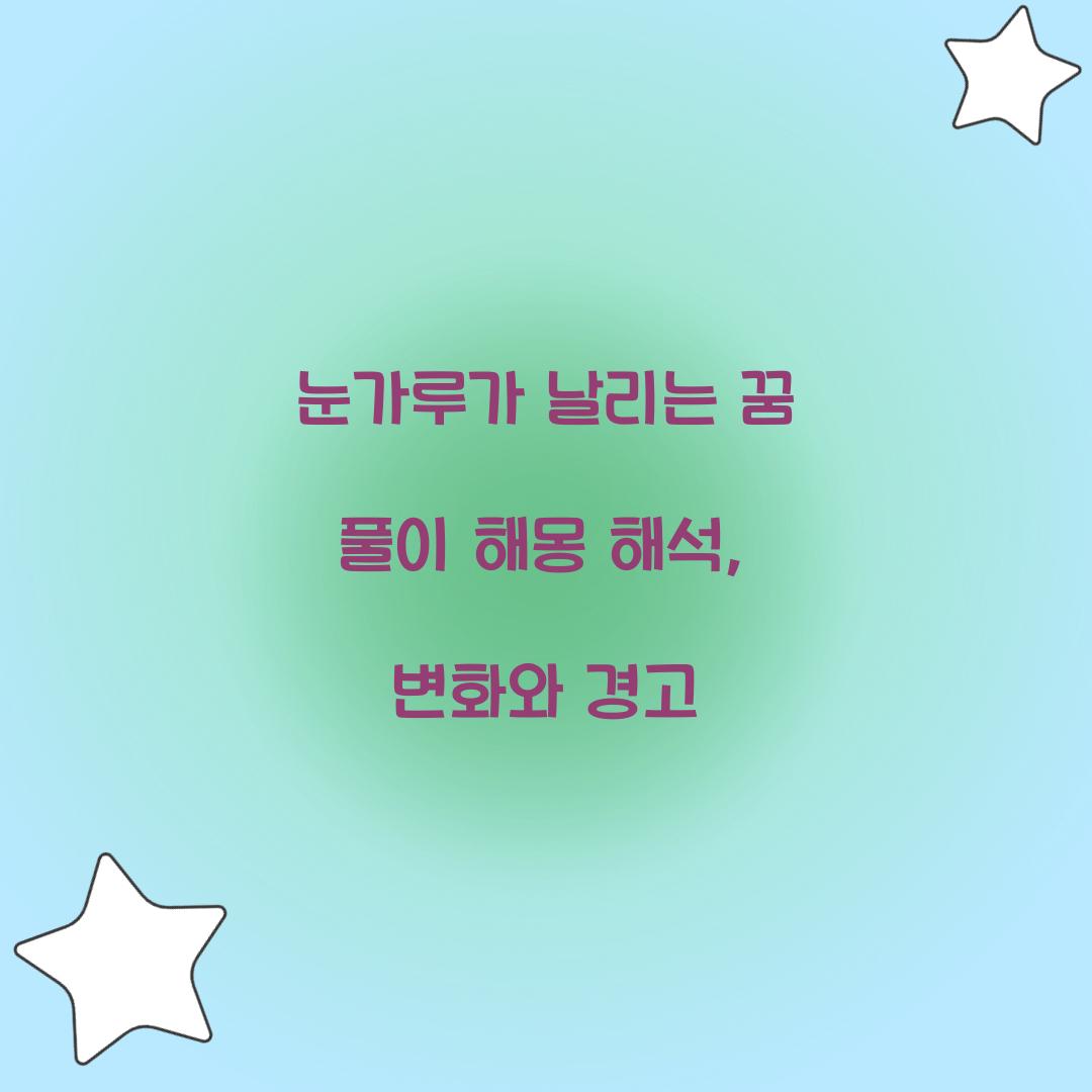 눈가루가 날리는 꿈 풀이 해몽 해석