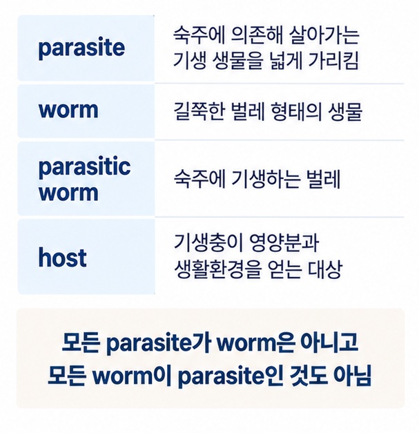 parasite와 worm parasitic worm host의 의미 차이를 비교한 생물 영어 표현 인포그래픽