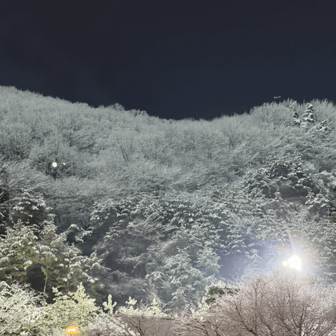 곤지암 스키장 리프트권 예매 