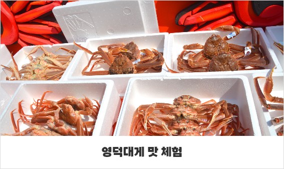 제27회 영덕대게축제(삼사해상공원) 행사소개, 축제안내, 관련영상