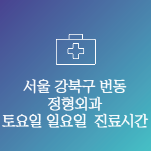 서울 강북구 번동 정형외과 주말 토요일 일요일 문여는 병원 진료시간