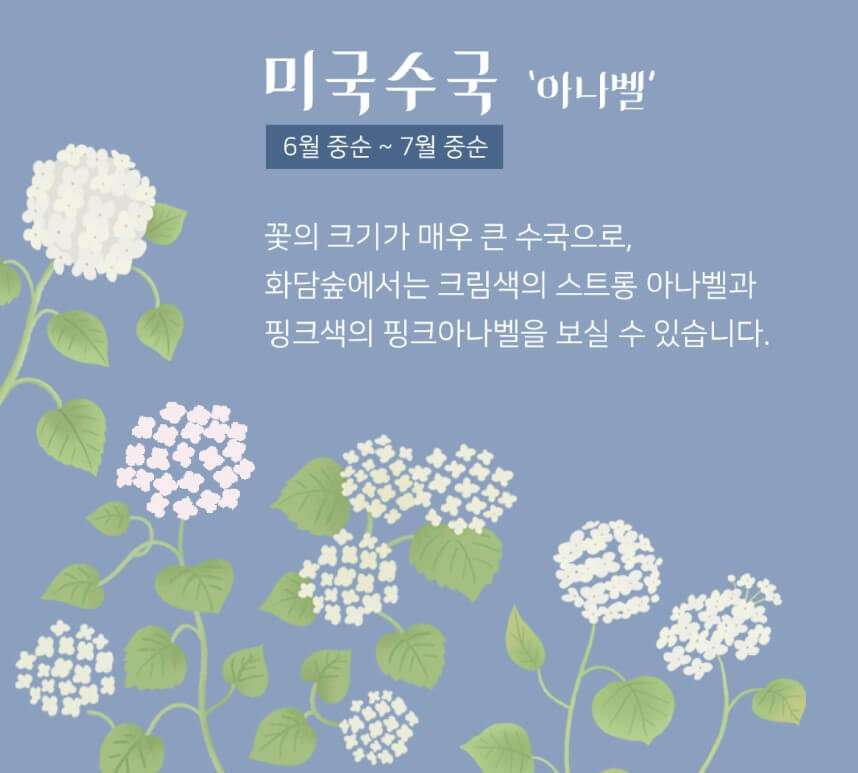 화담숲 예약 홈페이지(현장구매 팁)