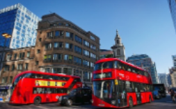 불법주정차-과태료-조회-꿀팁-총정리