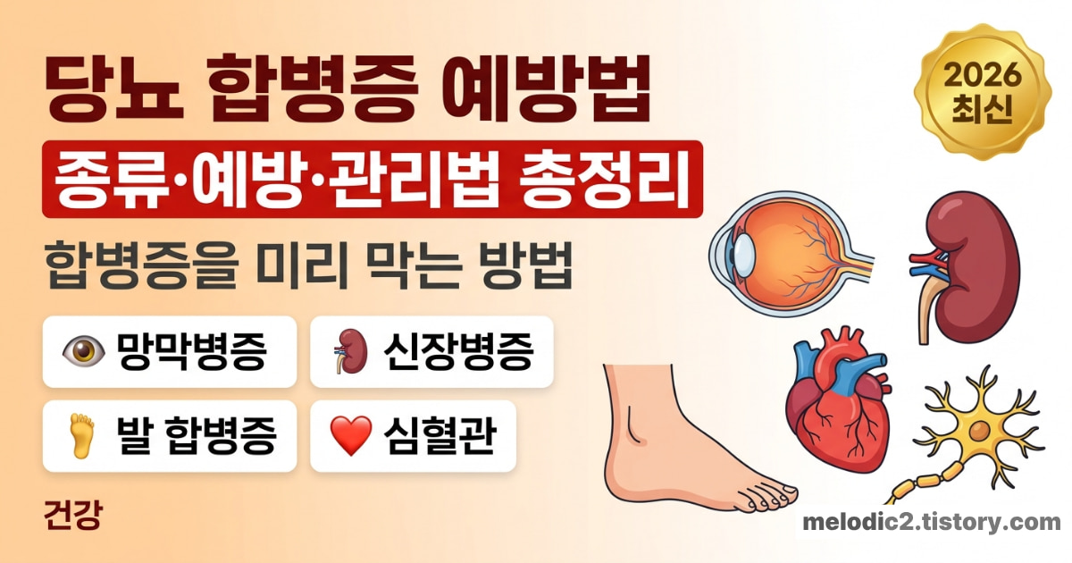당뇨 합병증 종류 예방법 무서운 합병증 미리 막는 법 2026 총정리 안내