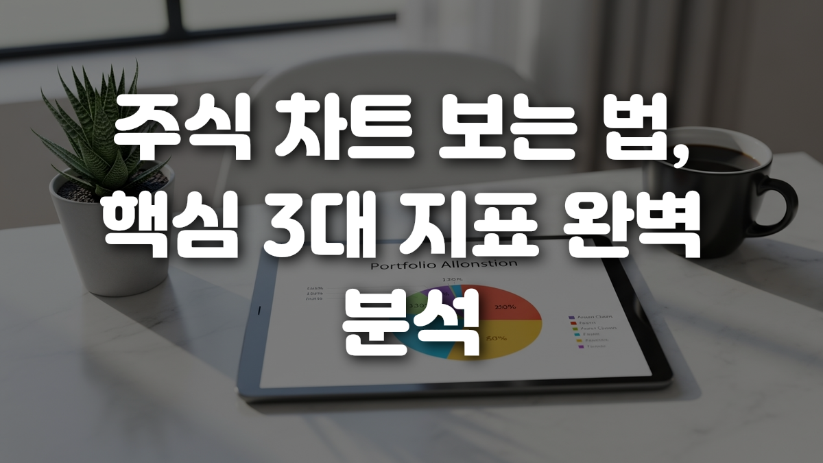 주식 차트 보는 법 핵심 3대 지표 완벽 분석